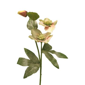 Fleur artificielle sur tige Rose de Noël SHIEN, givrée, vert-rose, 55cm