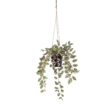 Panier suspendu avec Tradescantia zebrina artificiel SPROUT en pot décoratif, vert, 40cm