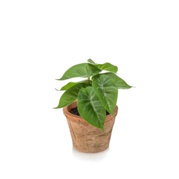 Plante artificielle Anthurium ZADE en pot en terre cuite, vert-gris, 13cm