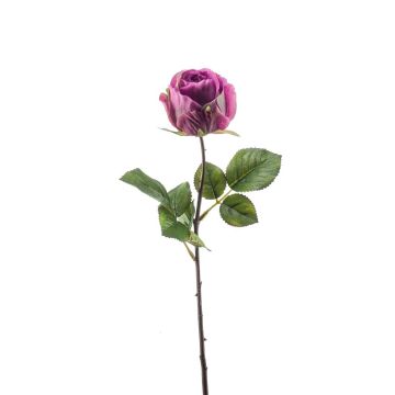 Fleur artificielle Rose POPI, violet-vert, 55cm