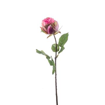 Fleur artificielle Rose POPI, fuchsia-vert, 55cm