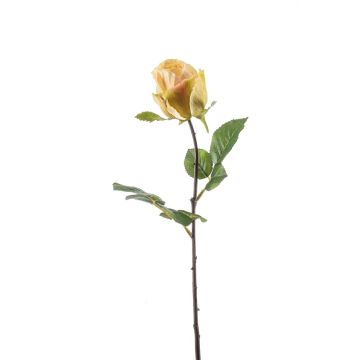 Fleur artificielle Rose POPI, jaune-rose, 55cm