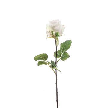 Fleur artificielle Rose POPI, blanc-vert, 55cm