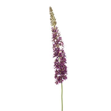 Fleur artificielle Eremurus NITTI, violet, 130cm