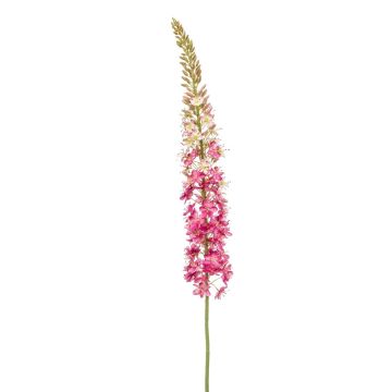 Fleur artificielle Eremurus NITTI, fuchsia, 130cm