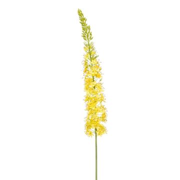 Fleur artificielle Eremurus NITTI, jaune, 130cm