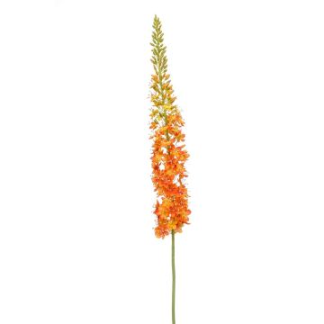 Fleur artificielle Eremurus NITTI, orange, 130cm