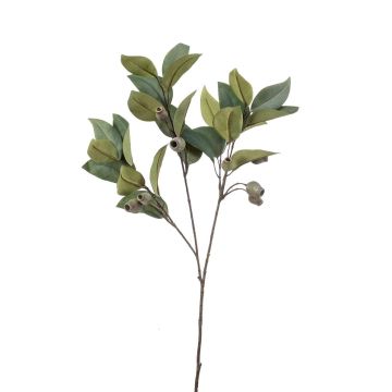 Branche d'eucalyptus décorative VIZIMIR avec des fruits, vert, 80cm