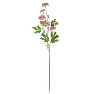 Branche de fleurs artificielles Chrysanthème REINHARDA, vieux rose, 65cm