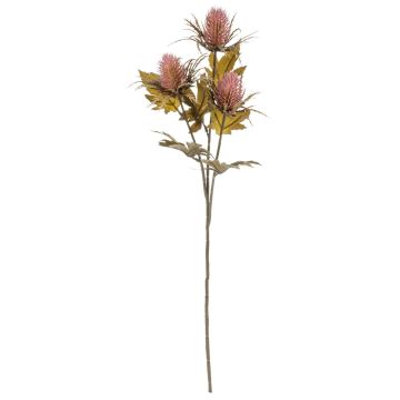 Branche florale artificielle Chardon TOTTE, aspect sec, vieux rose, 65cm