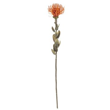 Fleur artificielle Leucospermum Protea URMINE, aspect sec, orange, 60cm