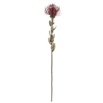 Fleur artificielle Leucospermum Protea URMINE, aspect sec, rouge bourgogne, 60cm