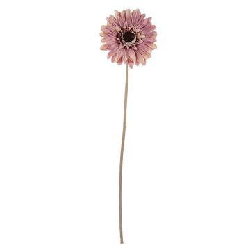 Fleur en plastique Gerbera TUNGUSKA, aspect sec, vieux rose, 50cm