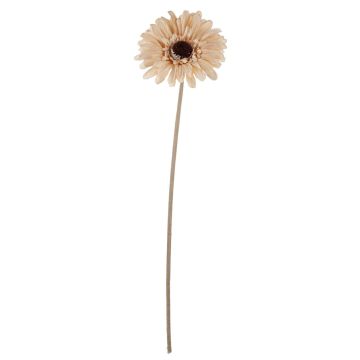 Fleur en plastique Gerbera TUNGUSKA, aspect sec, crème-beige, 50cm