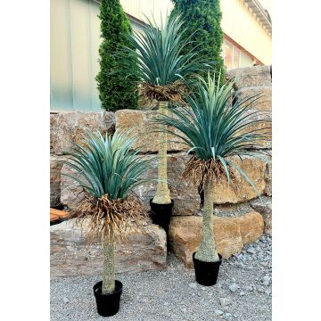 Yucca rostrata artificiel HARDIN, pot décoratif, 120cm