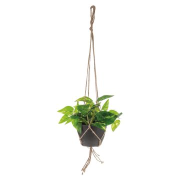 Panier suspendu de pothos artificiel CASON en pot décoratif, vert, 60cm