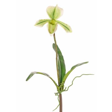 Orchidée Paphiopedilum artificielle VELANA, piquet, vert-blanc, 40cm