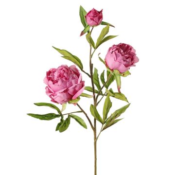 Branche artificielle Pivoine MANJA, vieux rose-fuchsia, 70cm, Ø8-10cm