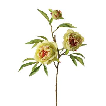 Branche artificielle Pivoine MANJA, vert-fuchsia, 70cm, Ø8-10cm