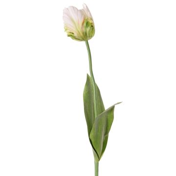 Fleur artificielle Tulipe perroquet UAKARI, blanc-vert, 65cm, Ø6cm