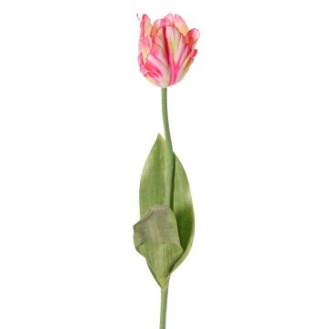 Fleur artificielle Tulipe perroquet UAKARI, rose-crème-vert, 65cm, Ø6cm