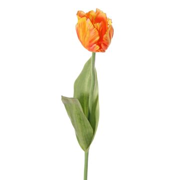 Fleur artificielle Tulipe perroquet UAKARI, orange-jaune, 65cm, Ø6cm