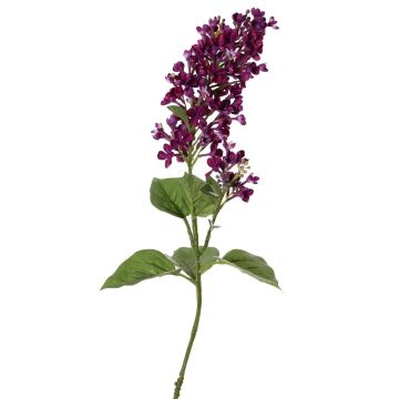 Branche décorative Lilas ADMIR, violet foncé, 80cm