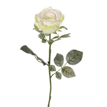 Rose en tissu HUSA, blanc-vert, 75cm, Ø10cm