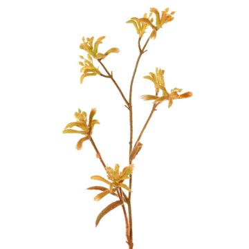 Fleur décorative Anigozanthos LEOBER, orange-jaune, 75cm