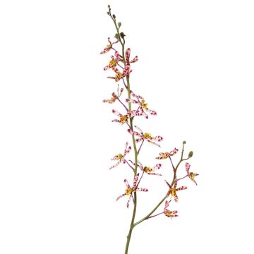 Branche artificielle Orchidée Cattleya TRASSA, fuchsia-blanc-jaune, 80cm