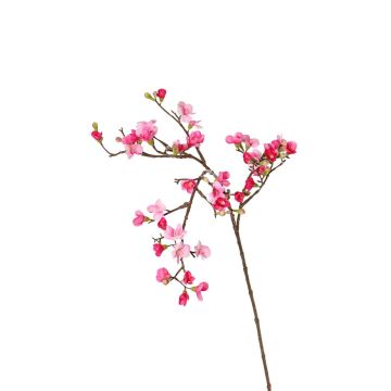 Branche de fleurs de pommier artificielle SADAKA avec des fleurs, fuchsia-rose, 100cm