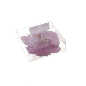 Fleur décorative Orchidée Phalaenopsis ZIKICA avec clip, 4 pièces, lilas, 4x8cm