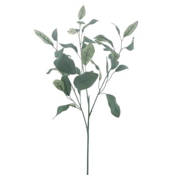 Fausse branche d'eucalyptus MALEEN, collection écologique, vert, 75cm