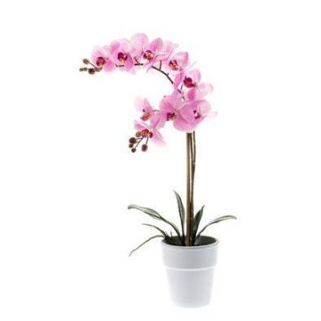 Orchidée Phalaenopsis en soie CANDIDA, pot en céramique, rose, 65cm, Ø7-8cm