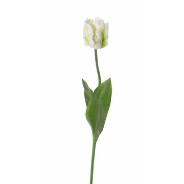 Tulipe perroquet artificielle STEFANIE, blanc-vert, 65cm, Ø7cm