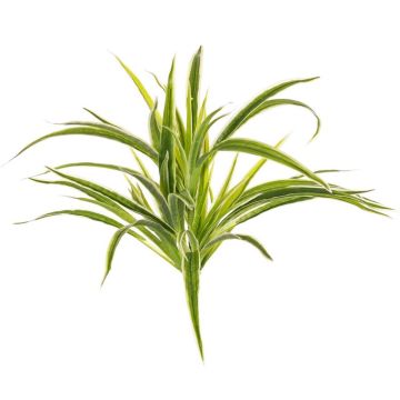 Faux chlorophytum TASMIN sur piquet, vert-blanc, 35cm, Ø40cm