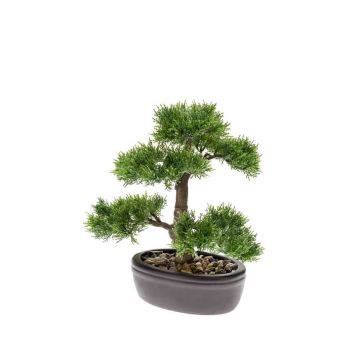 Bonsaï cèdre artificiel BERTOLT en coupe décorative, 30cm