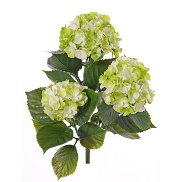 Faux Hortensia SAIRA, piquet, crossdoor, vert, 40cm, Ø11-13cm