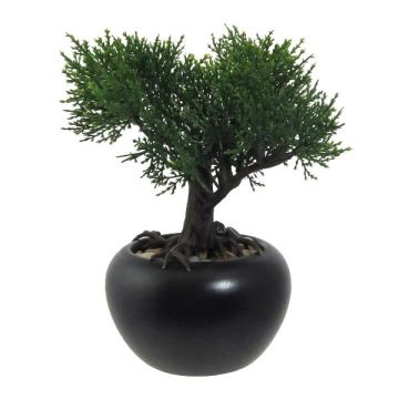 Arbre artificiel Bonsaï cèdre FALKE avec des racines, pot en céramique, 19cm