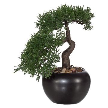 Arbre artificiel Bonsaï cèdre FALKE avec des racines, pot en céramique, 25cm