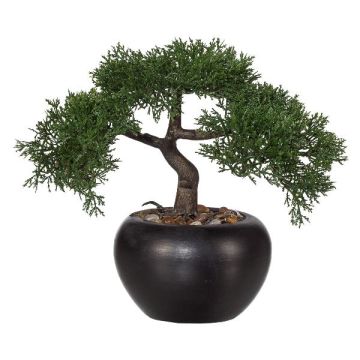 Arbre artificiel Bonsaï cèdre FALKE avec des racines, pot en céramique, 26cm