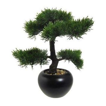 Arbre artificiel Bonsaï cèdre FALKE, pot en céramique, 35cm