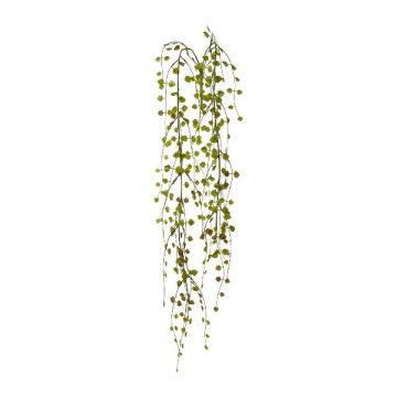 Suspension artificielle Muehlenbeckia ACARAY, piquet, vert-brun, 85cm