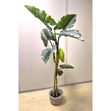 Colocasia artificiel YORICK, vert, 180cm