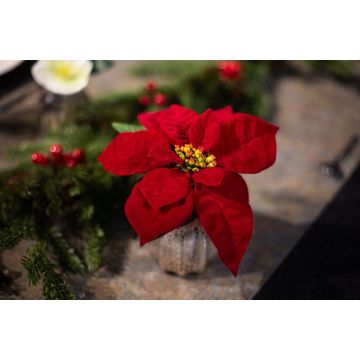 Fleur artificielle Poinsettia WIGBURDA dans un vase en verre, rouge, 15cm