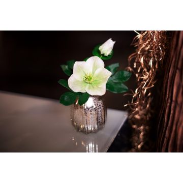 Fleur décorative Rose de Noël WINFRIEDA dans un vase en verre, crème-vert, 20cm