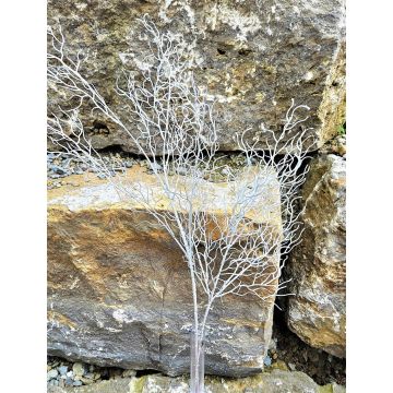 Branche de saule décorative DONATELLA, argent, 70cm