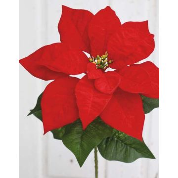 Poinsettia en velours LIBASSE, rouge, 50cm