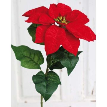 Poinsettia en velours LIBASSE, rouge, 65cm