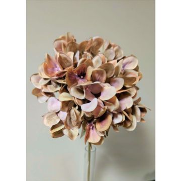 Fleur artificielle Hortensia MANDISA, brun-rose, 65cm